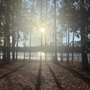 Meet your Posher, Randye